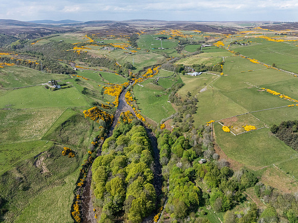 250510 Dunbeath 105