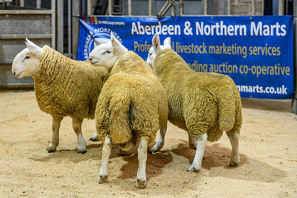 220916 NCC Quoybrae 001