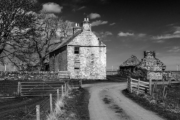 210516 Dalemore 104