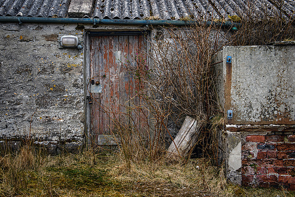 220326 Benny's Croft 020