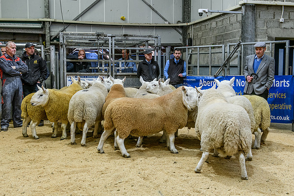 220916 NCC Quoybrae 041