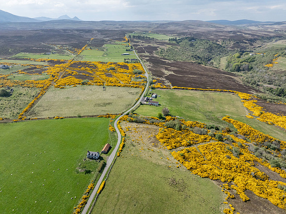 250510 Dunbeath 145