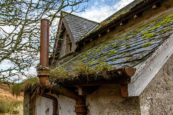 201107 Craggie 089