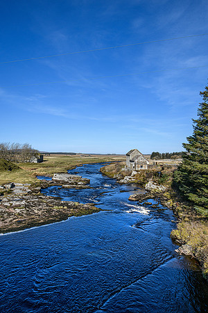 220319 Westerdale 020
