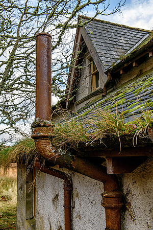 201107 Craggie 088