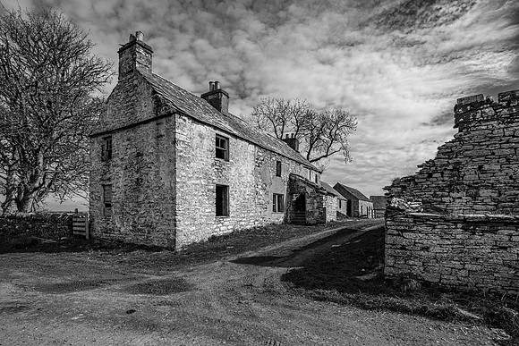 210517 Dalemore 064