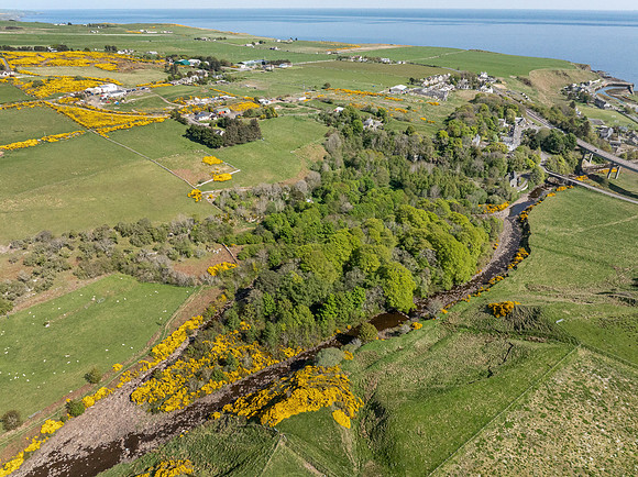 250510 Dunbeath 120