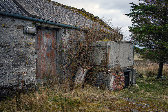 220326 Benny's Croft 021