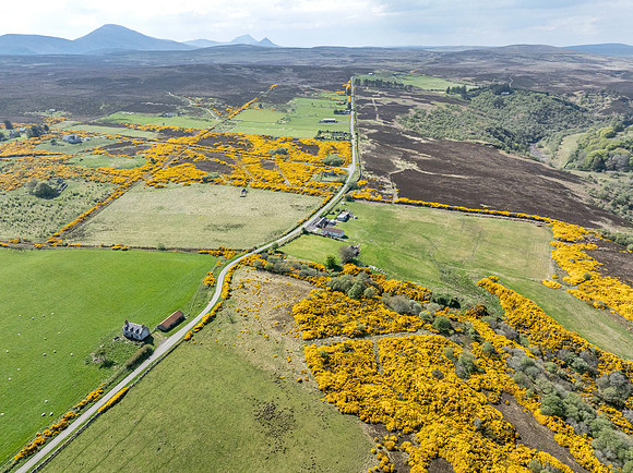 250510 Dunbeath 146
