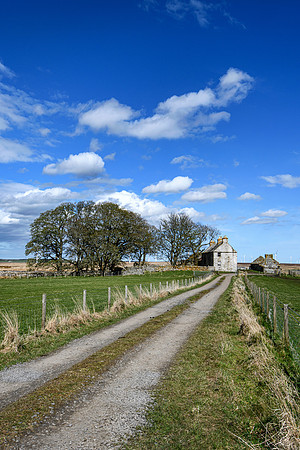 210516 Dalemore 002