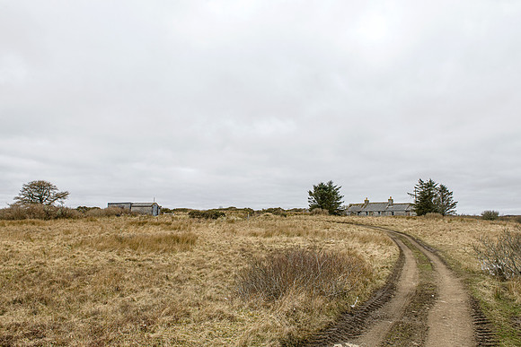 220326 Benny's Croft 002