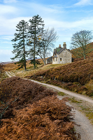 201107 Craggie 052