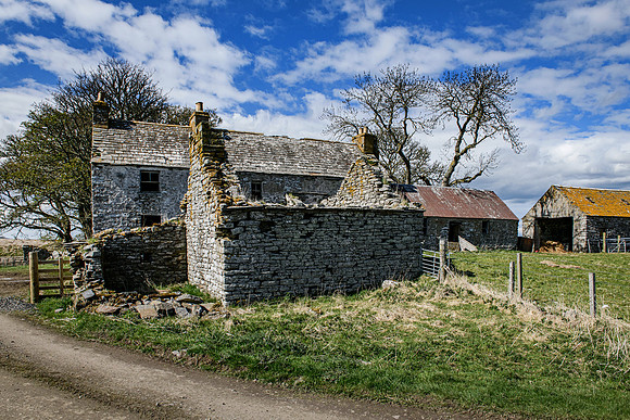210516 Dalemore 063