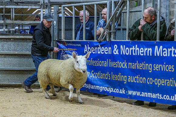220916 NCC Quoybrae 216