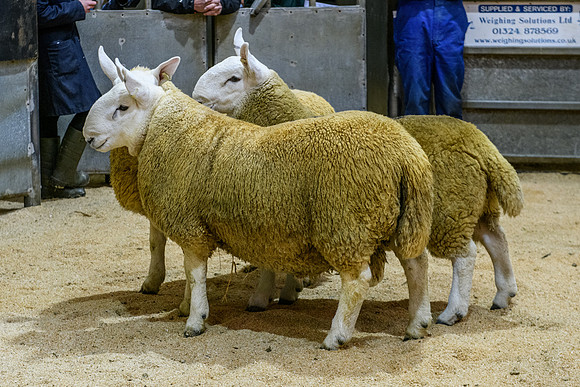 220916 NCC Quoybrae 006
