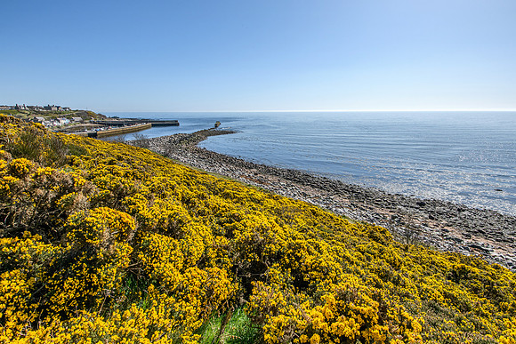 250407 Helmsdale 044