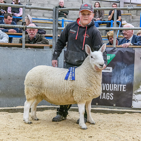 190925 NCC Quoybrae - Female Reserve Champion - Biggins Eyecatcher £1800