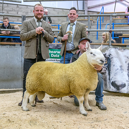 190925 NCC Quoybrae - Reserve Champion - Sebay Forever £2400 #2