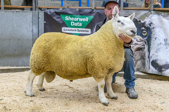 190925 NCC Quoybrae - Reserve Champion - Sebay Forever £2400 #1