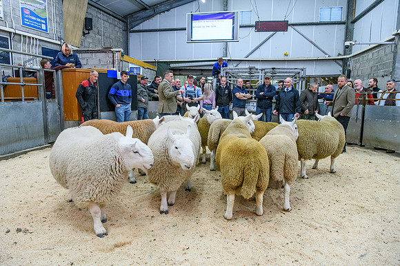 190925 NCC Quoybrae 018