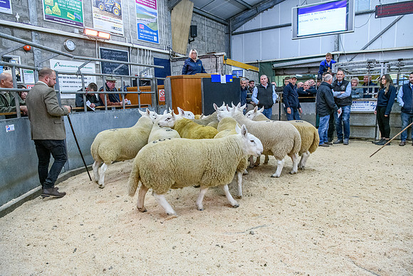 190925 NCC Quoybrae 022