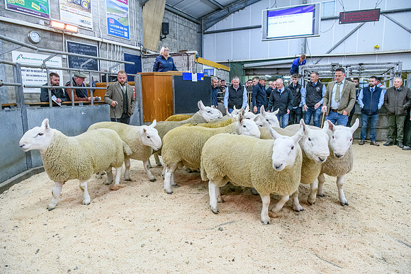 190925 NCC Quoybrae 024
