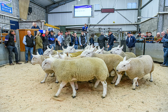 190925 NCC Quoybrae 033