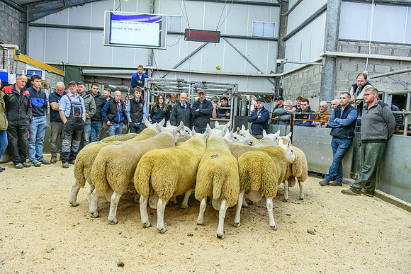 190925 NCC Quoybrae 037
