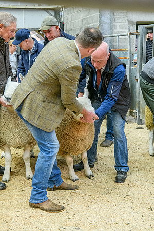 190925 NCC Quoybrae 053