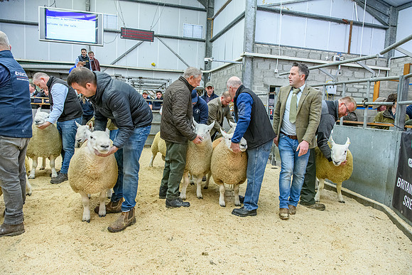 190925 NCC Quoybrae 055