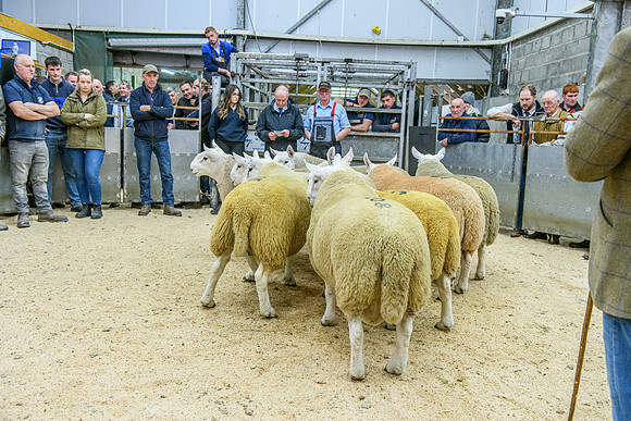 190925 NCC Quoybrae 067