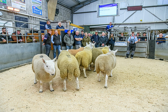 190925 NCC Quoybrae 074