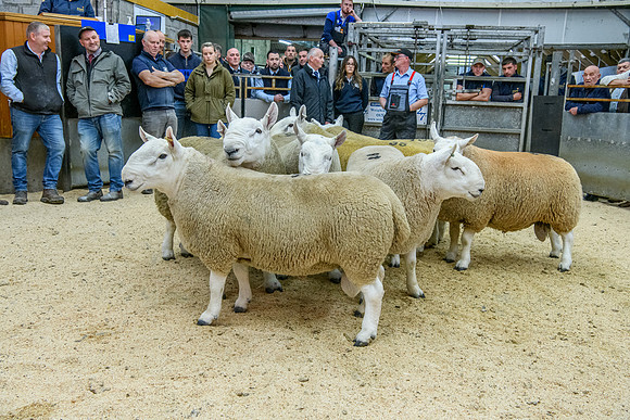 190925 NCC Quoybrae 089