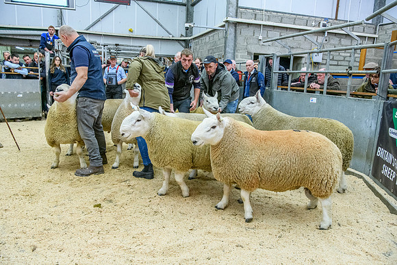 190925 NCC Quoybrae 095