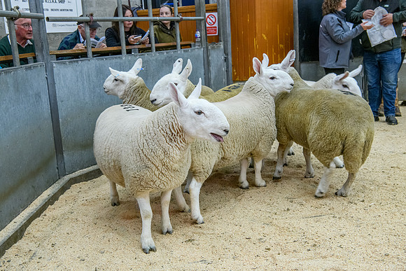 190925 NCC Quoybrae 143