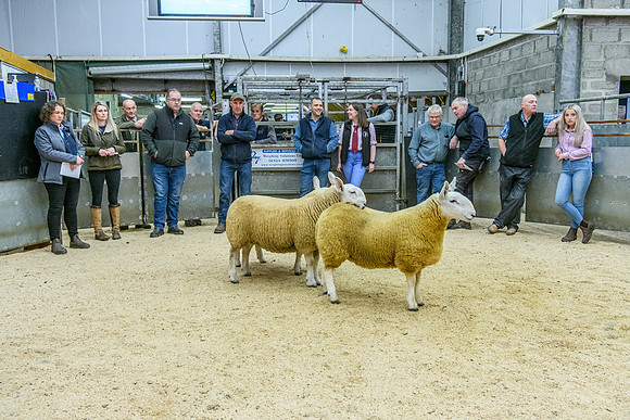 190925 NCC Quoybrae 178