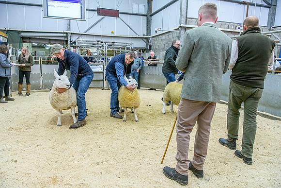 190925 NCC Quoybrae 201