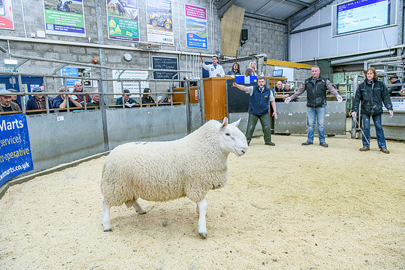 190925 NCC Quoybrae 237