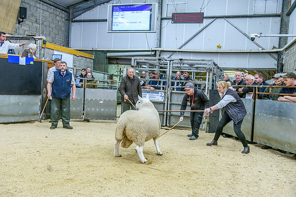 190925 NCC Quoybrae 279