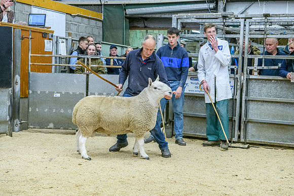 190925 NCC Quoybrae 338