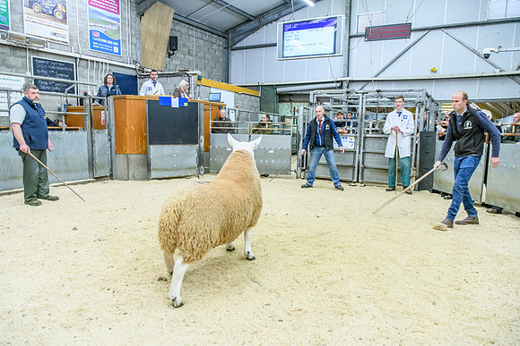 190925 NCC Quoybrae 378