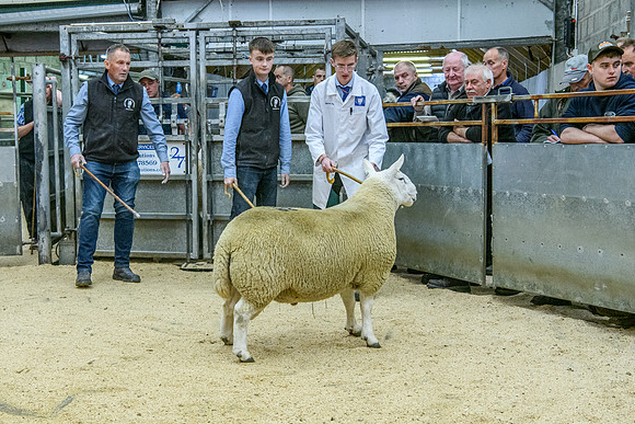 190925 NCC Quoybrae 428
