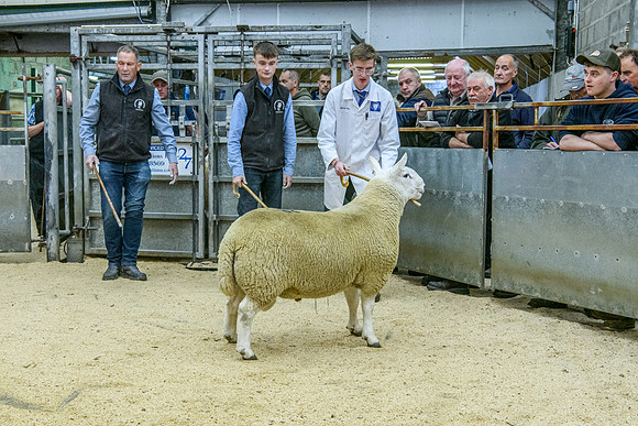190925 NCC Quoybrae 429