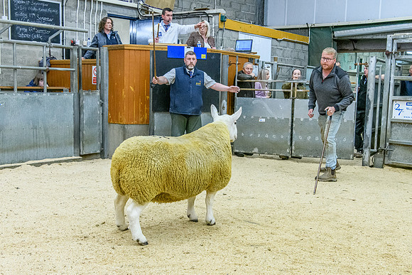 190925 NCC Quoybrae 447