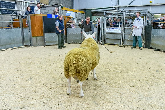 190925 NCC Quoybrae 456