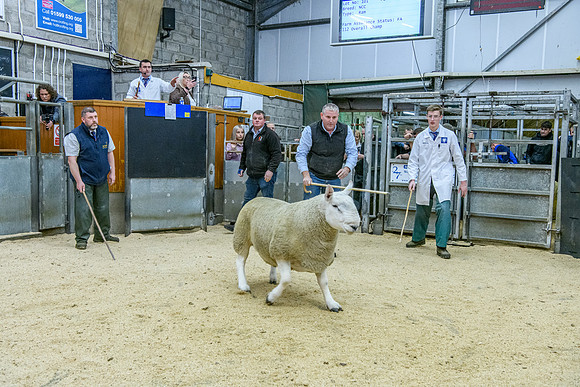 190925 NCC Quoybrae 482