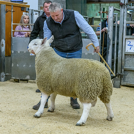 190925 NCC Quoybrae 490