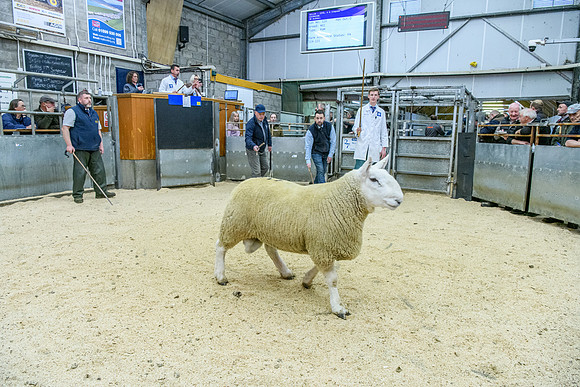 190925 NCC Quoybrae 515
