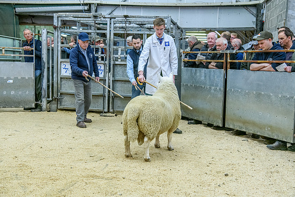 190925 NCC Quoybrae 518