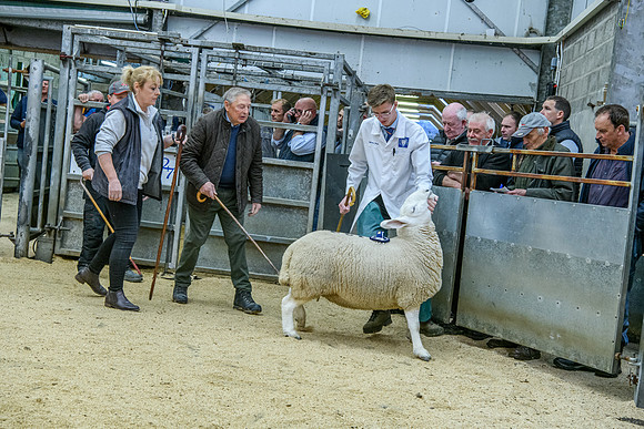 190925 NCC Quoybrae 539